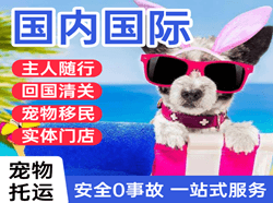 山南隆子机场快递国际宠物托运 【国